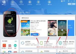 魏派刷安卓系统怎么刷机,轻松实现系统升级与优化