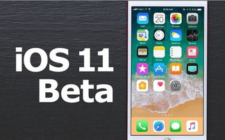 安卓平板高仿ios11系统,深度解析与体验分享