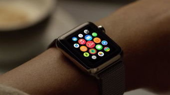 iwatch6和安卓系统兼容么,iWatch 6与安卓系统兼容性探讨