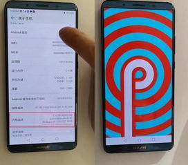 华为p20如何升级安卓系统,轻松迈向最新版本